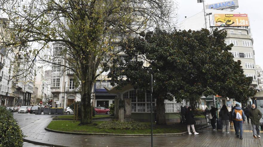Árboles de gran porte que quedan en la plaza de Ourense. |  Carlos Pardellas