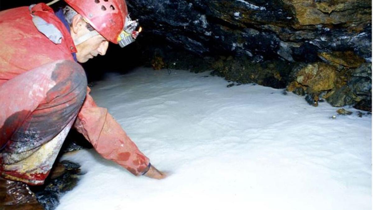 Leche de luna: El sorprende elixir de las hadas que ya se usaba hace casi 3.000 años como crema facial en China