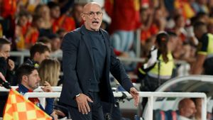 De la Fuente, y la Eurocopa: Fue una convivencia excepcional, fuimos una familia