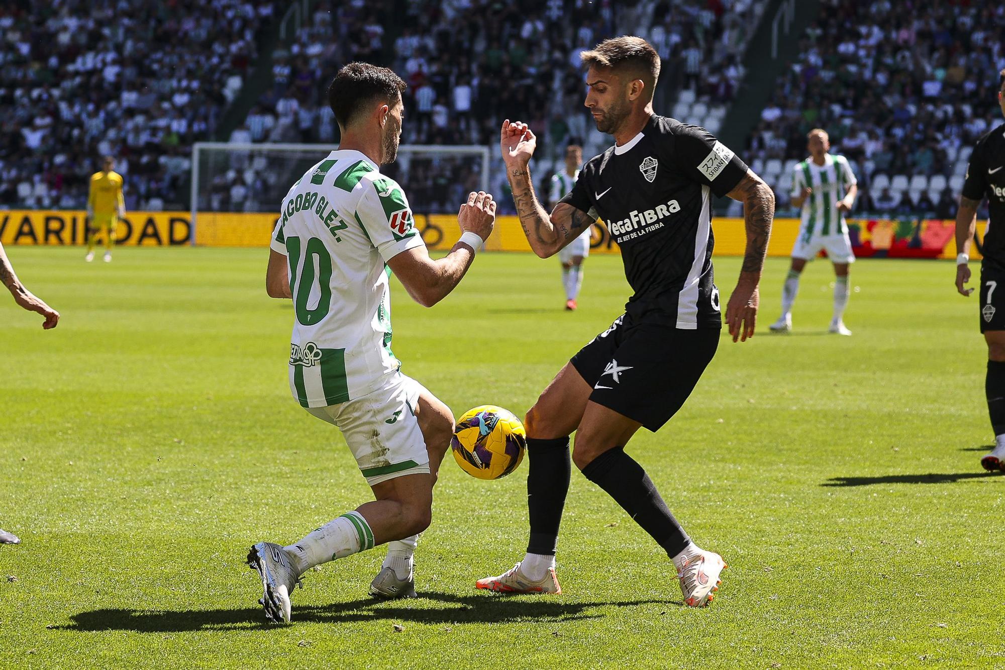 Las mejores imágenes del Elche - Córdoba