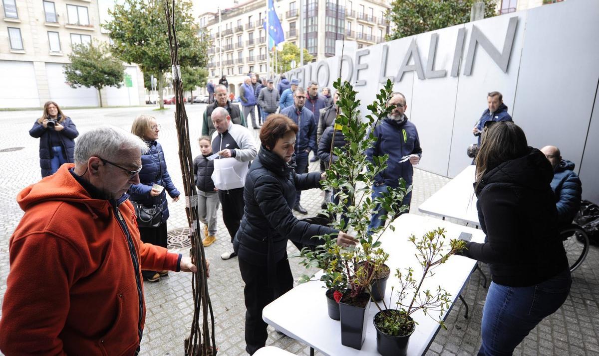 Lalín reparte más de 600 árboles a vecinos | BERNABÉ/JAVIER LALÍN