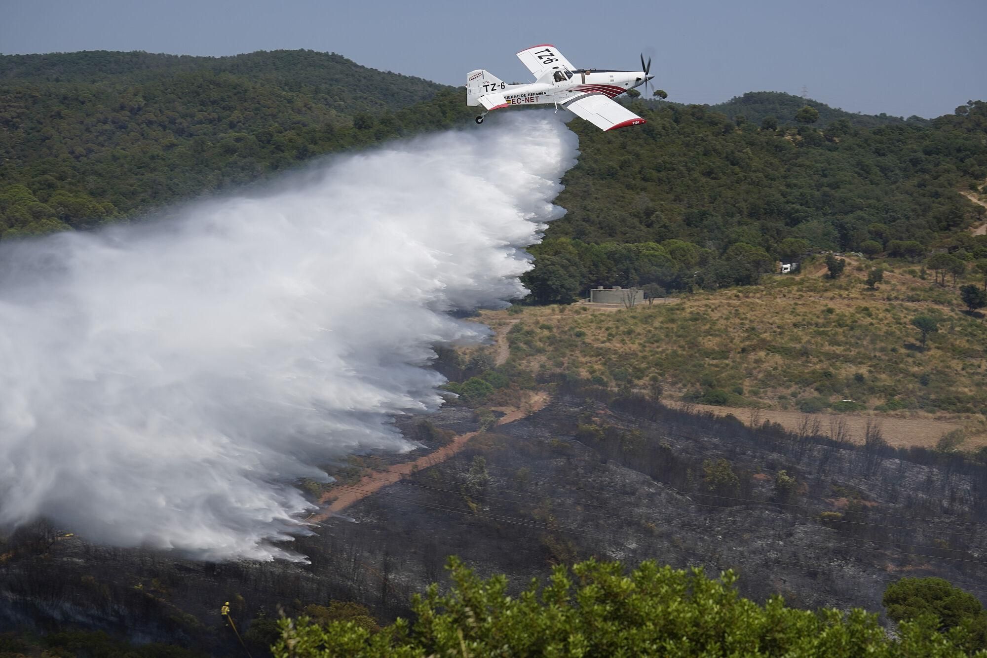 Girona zona boscosa font de la pólvora sant Daniel incendi forestal