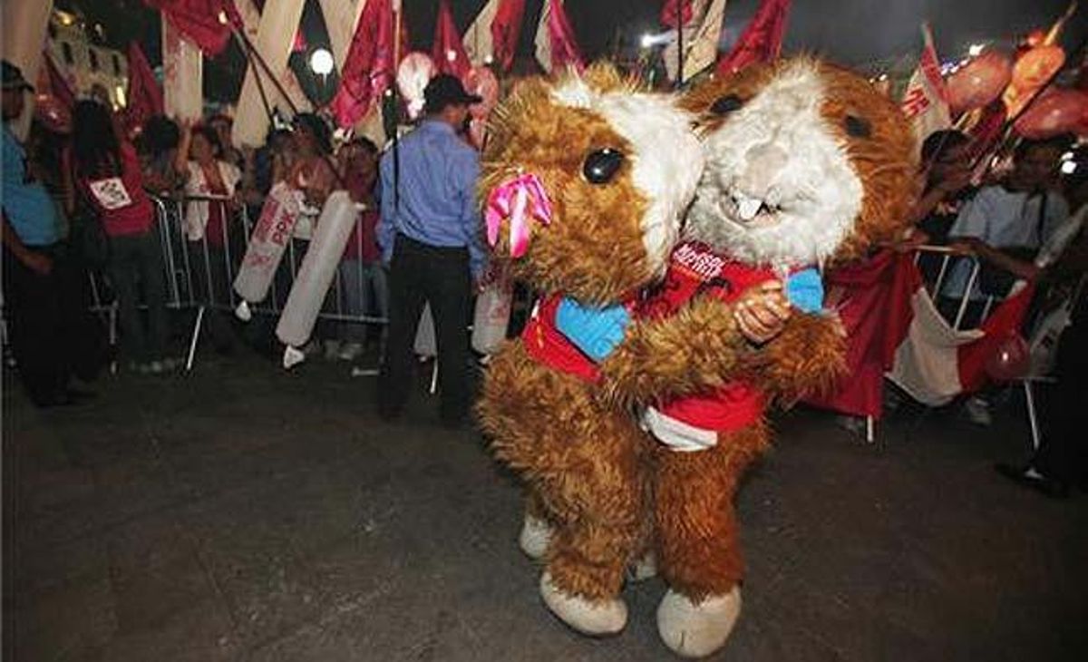 Dues persones disfressades de conills d’Índies actuen durant el míting de clausura de la campanya presidencial de Pedro Pablo Kuczynski, a Lima (Perú). Les eleccions del país sud-americà tindran lloc diumenge que ve, 10 d’abril.