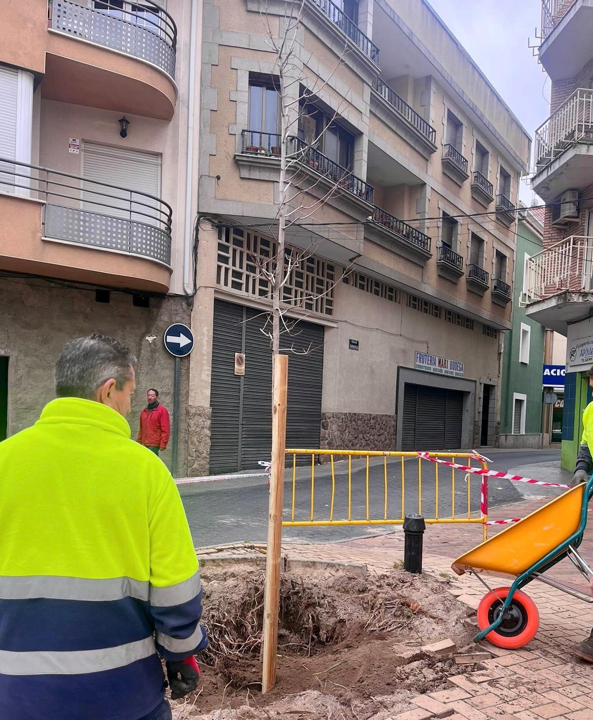 Trabajadores municipales realizan trabajos en la plaza Doctor Murillo.