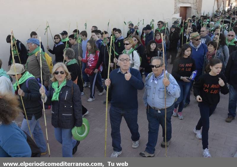 GALERÍA DE FOTOS - Romería Magdalena 2014 (4)