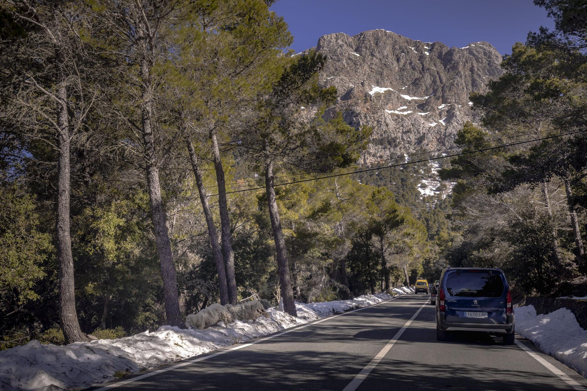 Borrasca Juliette en Mallorca | Caos y belleza en la Serra de Tramuntana