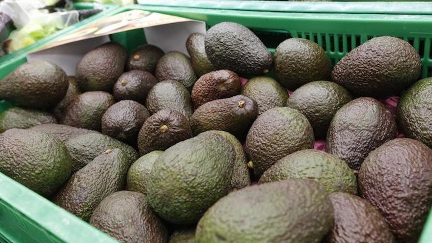 La campaña del aguacate ha facturado 96 millones de euros con una subida del 46%.