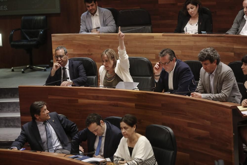 Pleno de la Junta General del Principado