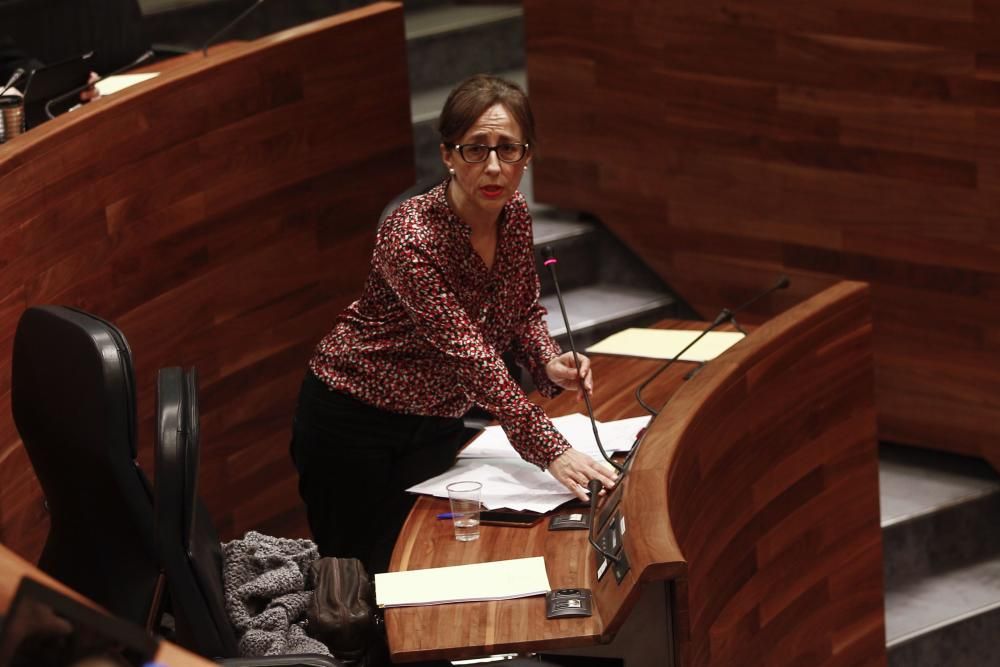 Pleno en la Junta General del Principado de Asturias