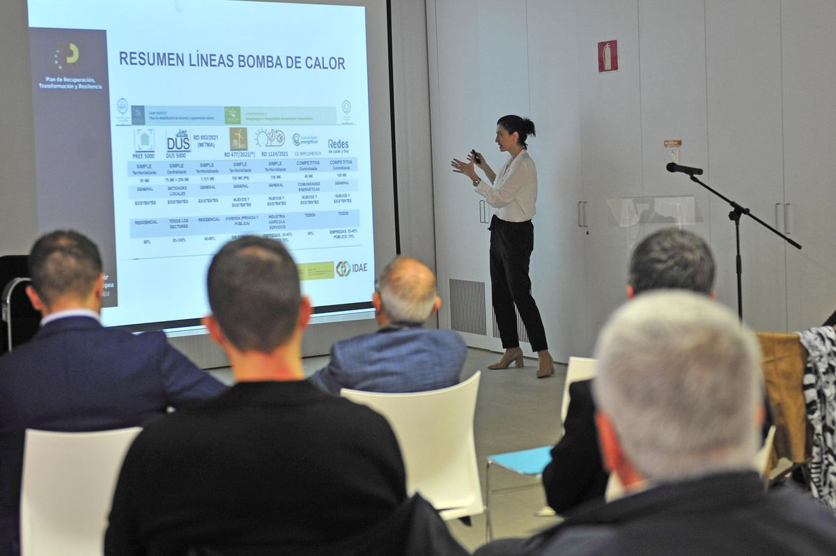 La técnica del Departamento de Hidroelectricidad, Geotermia y Energía del Ambiente del Instituto para la Diversificación y Ahorro de la Energía (IDAE), Maite Fernández de Retana, durante su intervención.