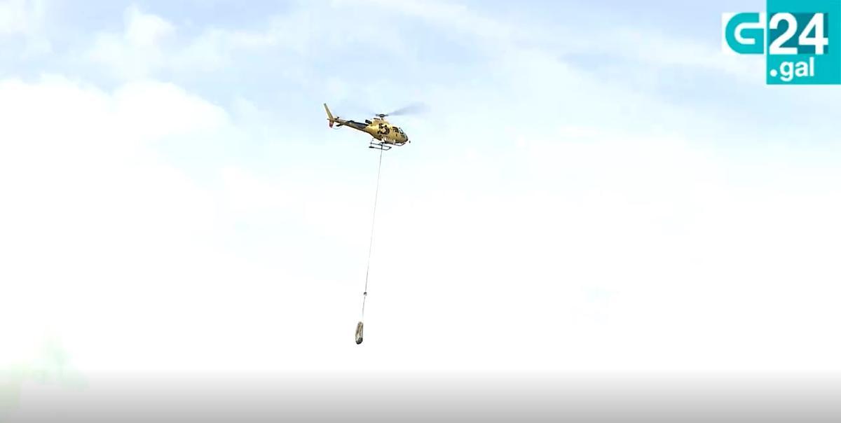El helicóptero en pleno vuelo con unas de la vacas.