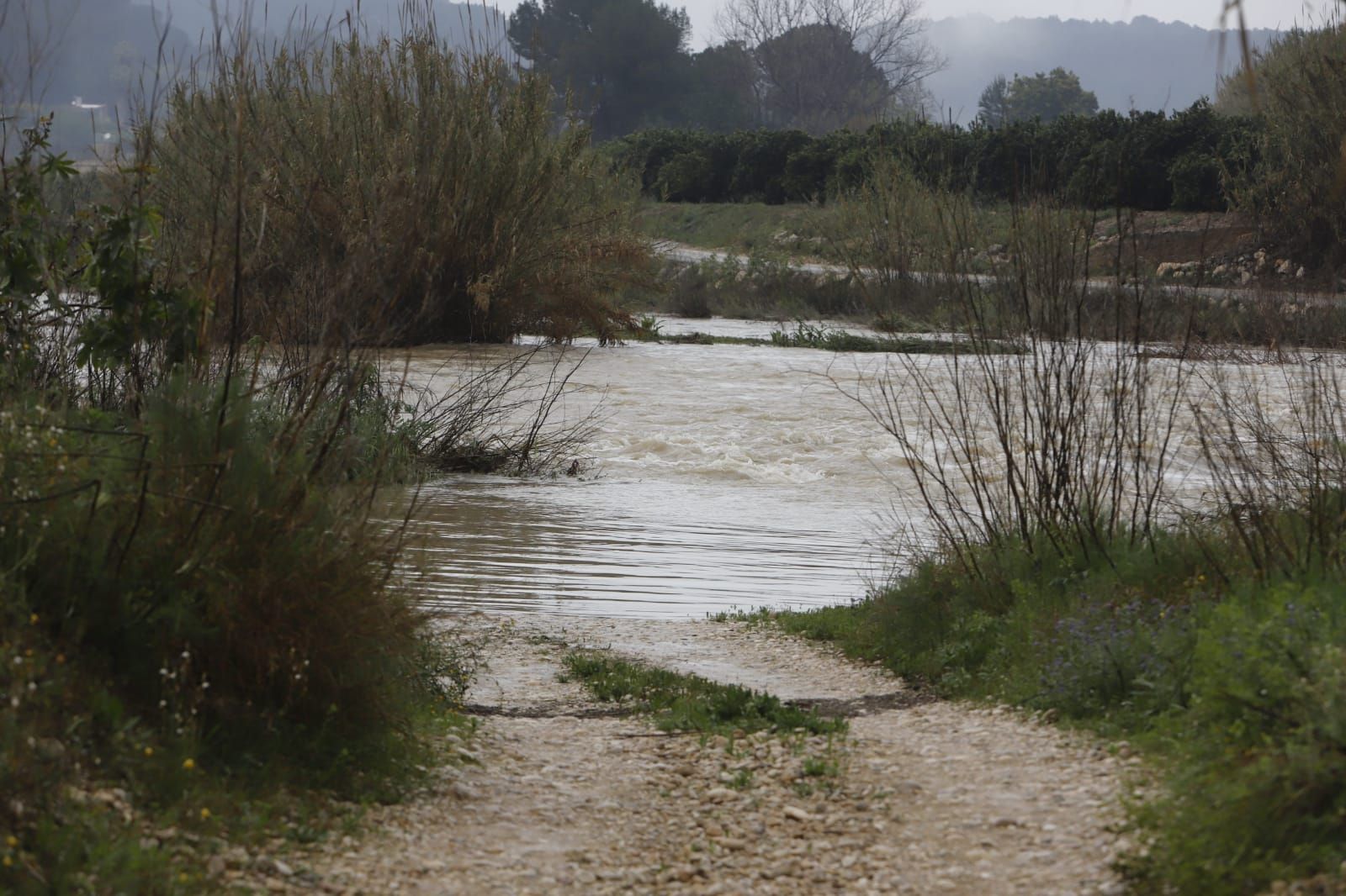 El río Albaida a su paso por la localidad de Manuel tras las últimas lluvias
