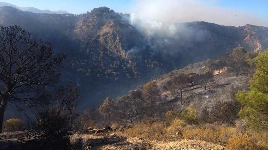 Incendio forestal de Archidona