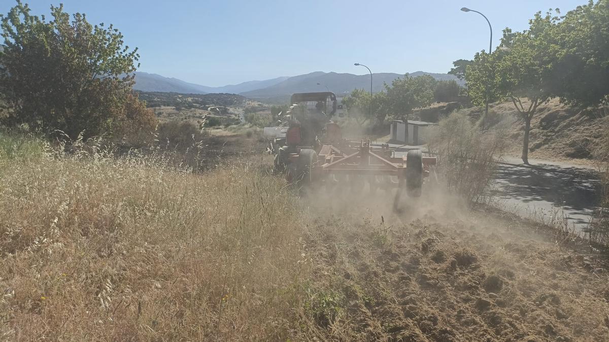 La máquina ya está desbrozando en Gabriel y Galán de Plasencia.