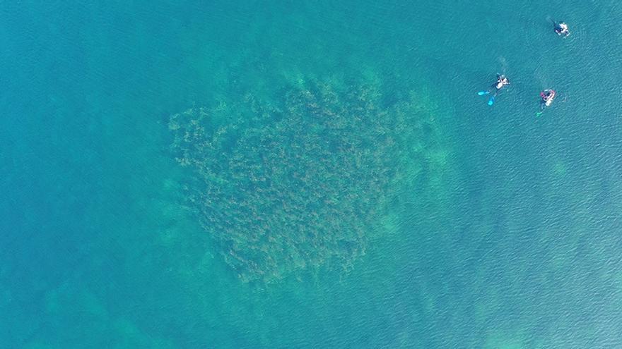 Parte del yacimiento marino, a vista de pájaro.