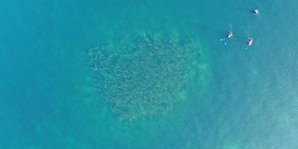 El yacimiento marino, a vista de pájaro.