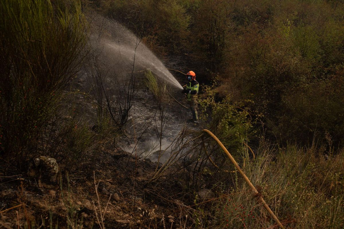 "Los fuegos y el cambio climático"