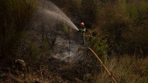 "Los fuegos y el cambio climático"