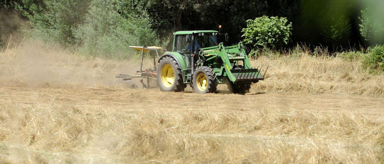 Hilerado de hierba seca ayer, en una finca de A Bandeira. | // BERNABÉ/JAVIER LALÍN