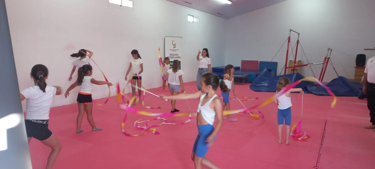 Federación de la Federación Extremeña de Gimnasia.