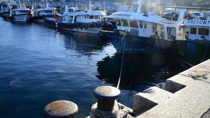 La toxina empieza a remitir, pero las bateas de Bueu y Aldán necesitan un "milagro navideño" para poder abrir antes de fin de año