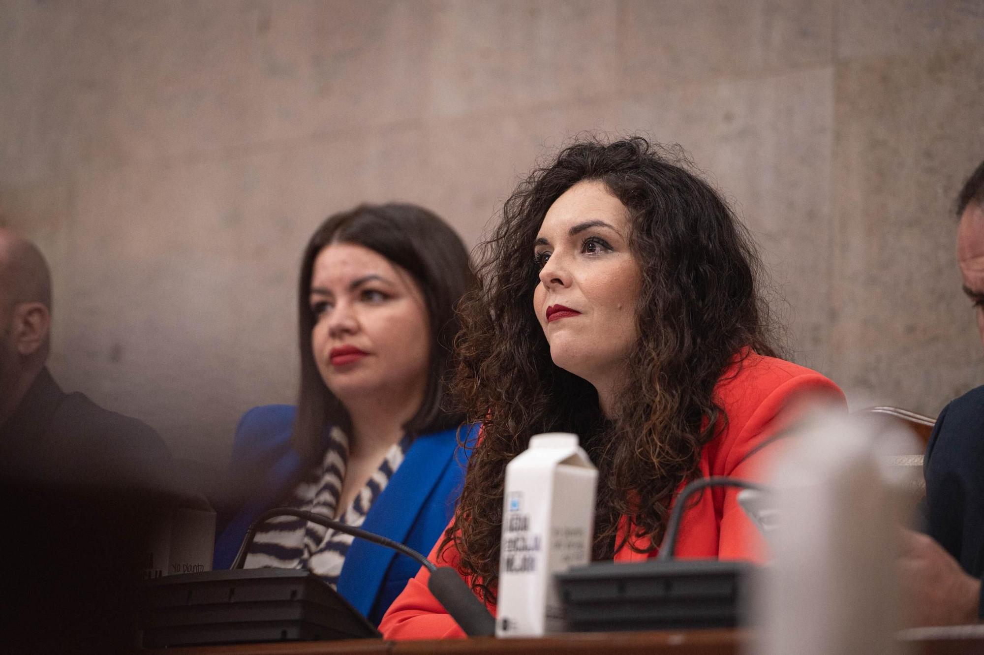 Moción de censura en Granadilla de Abona