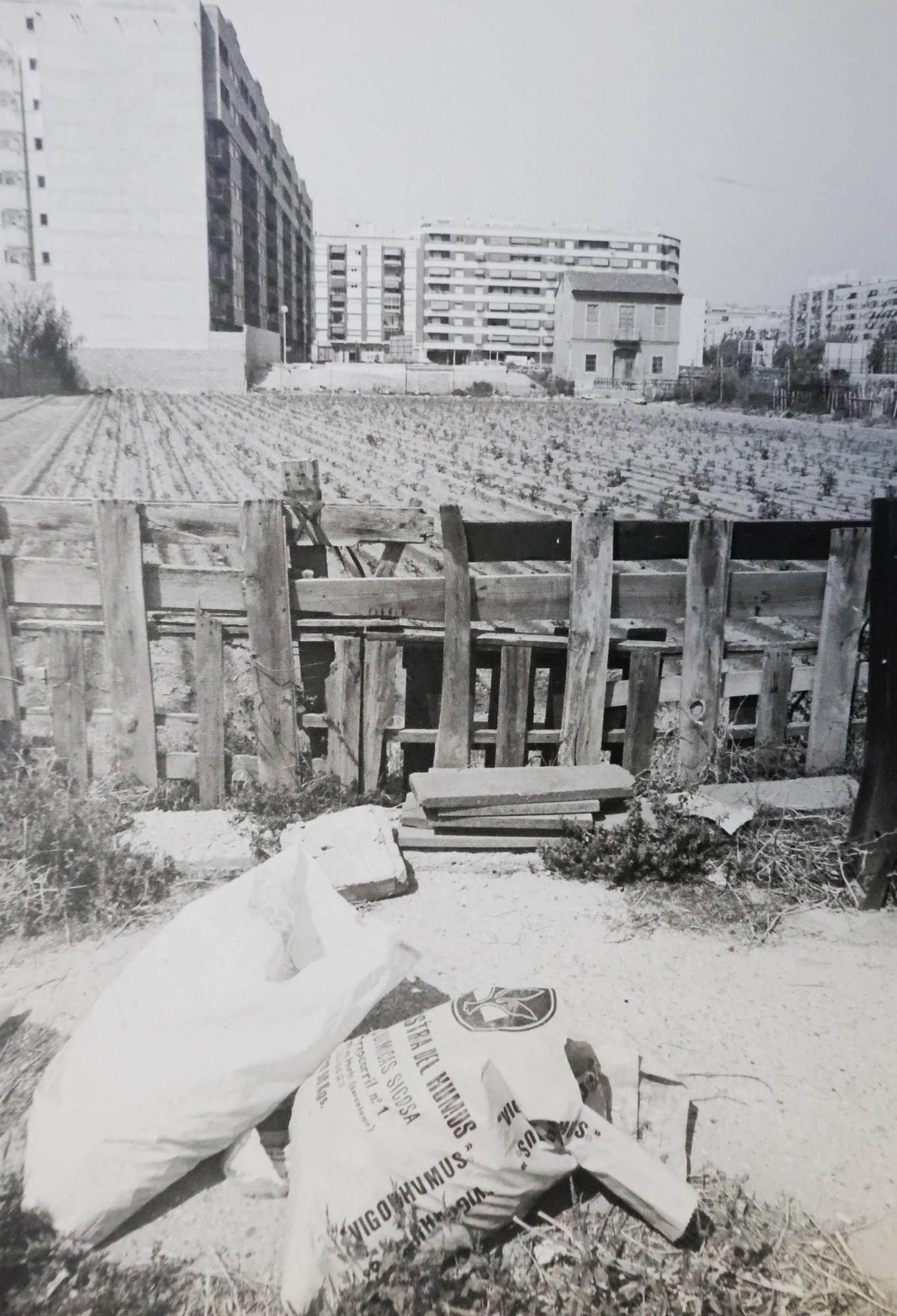 La Valencia desaparecida: Todo esto antes era huerta