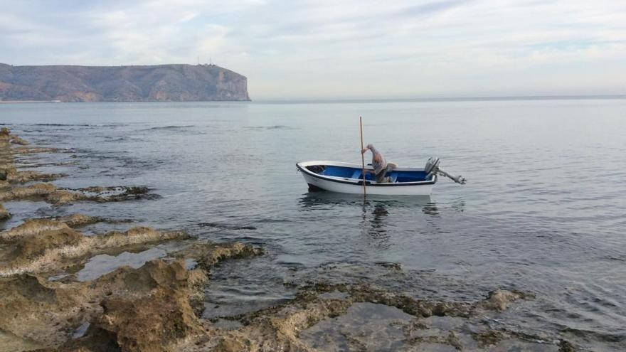 El cambio climático arruina la pesca del erizo