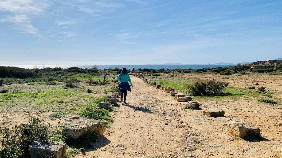 Ein Spaziergang (wie hier bei Es Carnatge) ist am Freitag bei weitgehend sonnigem Wetter drin.