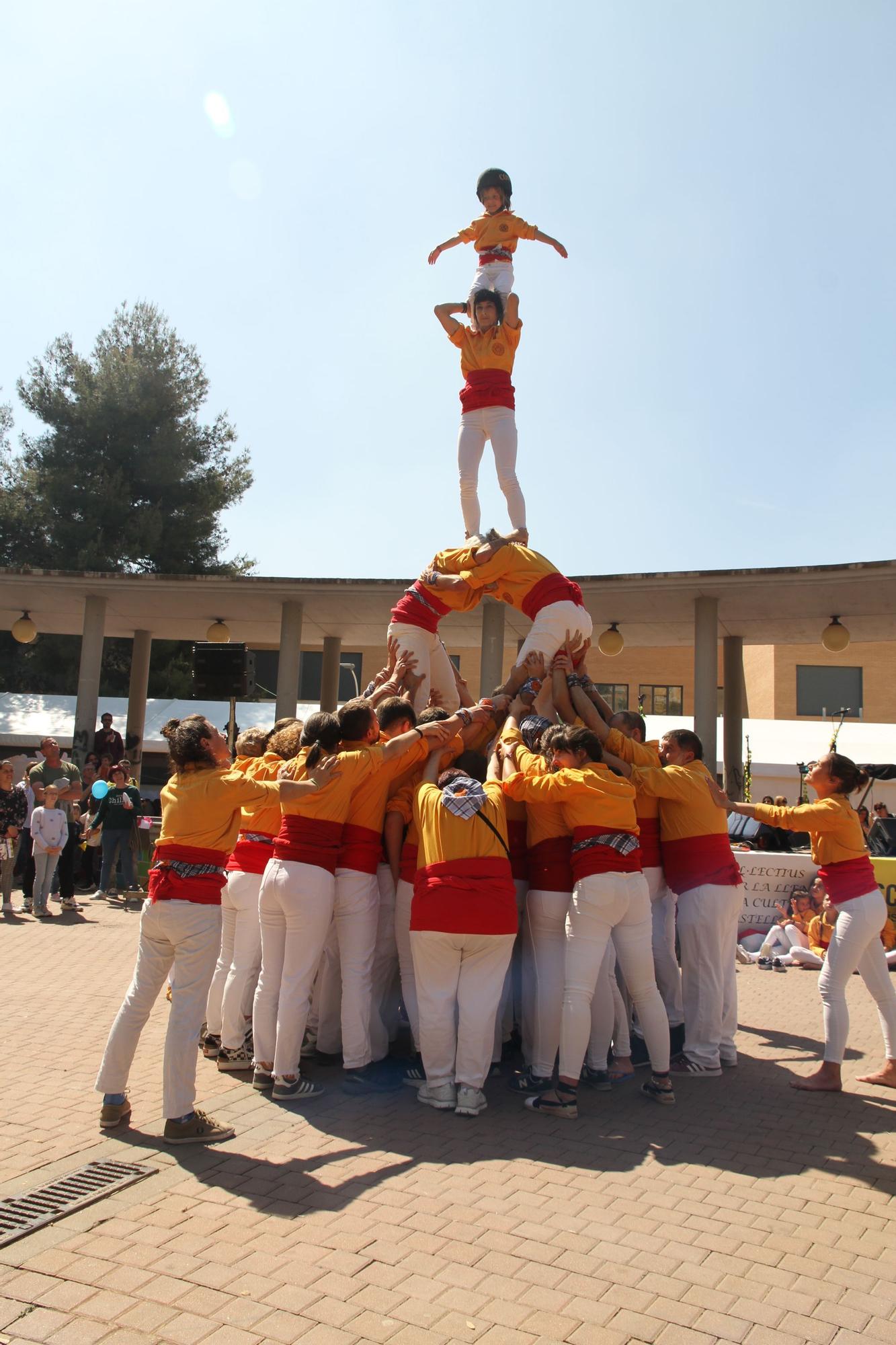 Festa per la llengua