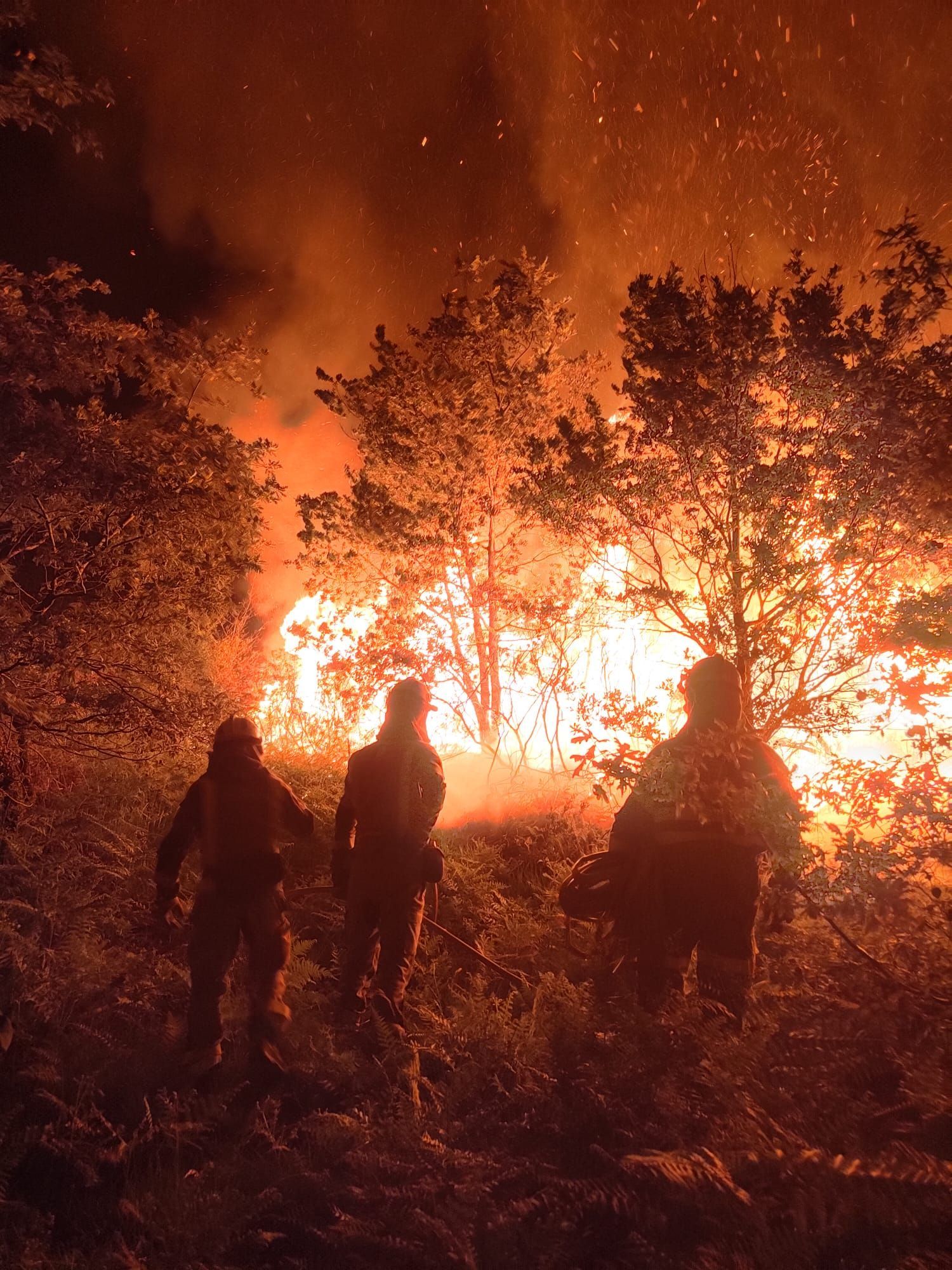 Un incendio arrasa los montes de Crecente