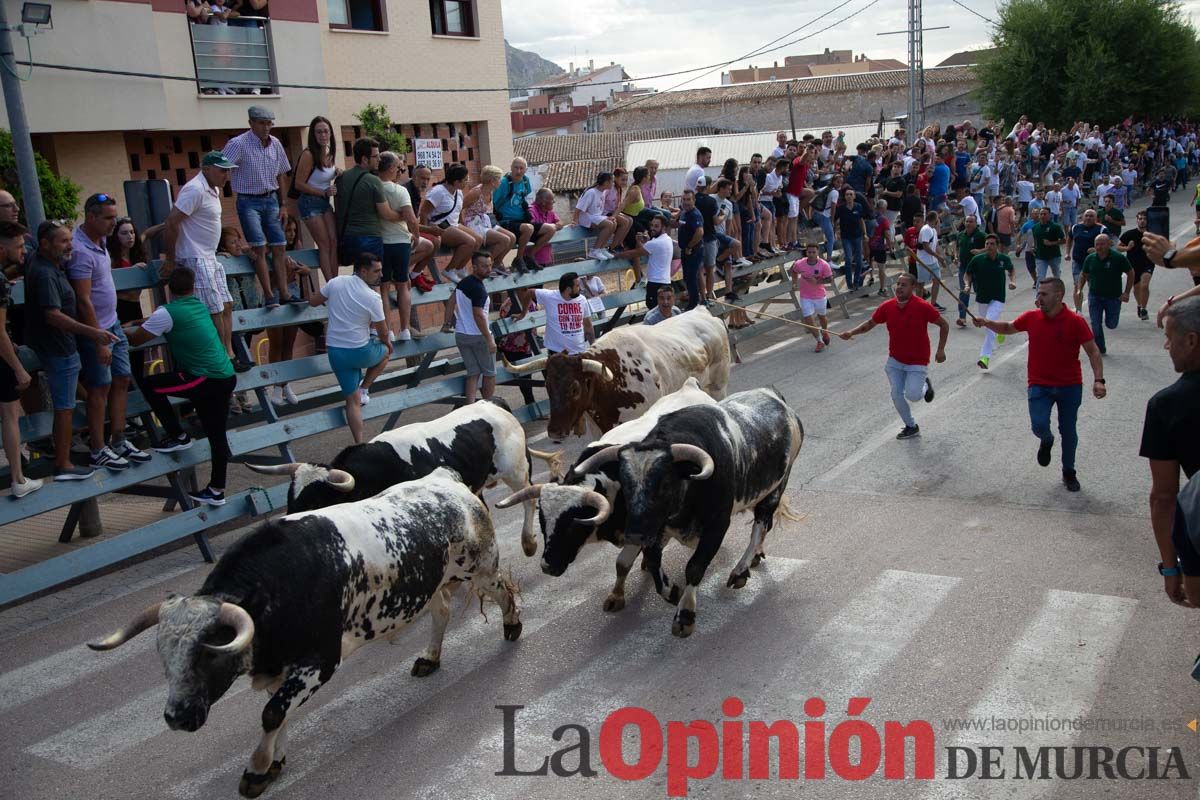 Primer encierro de la Feria del Arroz de Calasparra