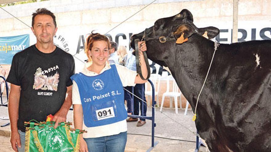 Los menorquines, de nuevo protagonistas por ser mayor número de ganaderías y vencer en categorías ´estrella´ como la de Mejor Vaca