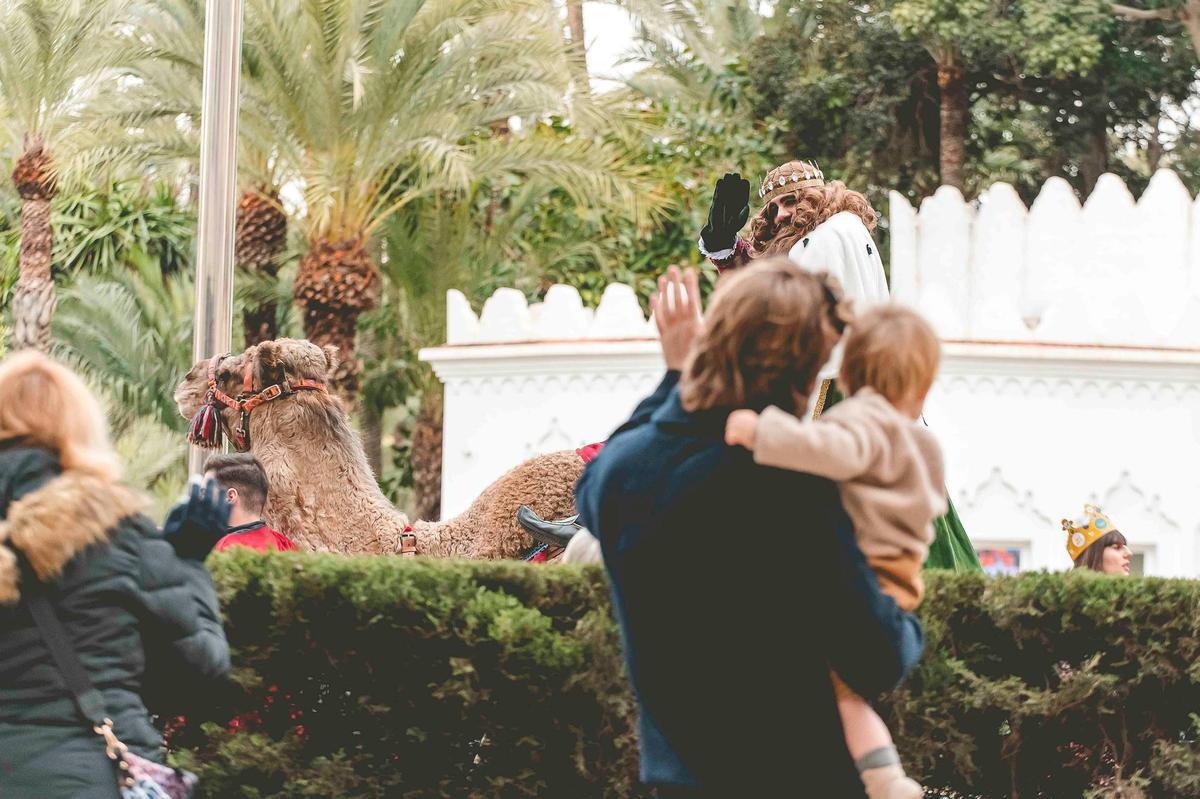 Los Reyes Magos llegan en dromedario a Elche