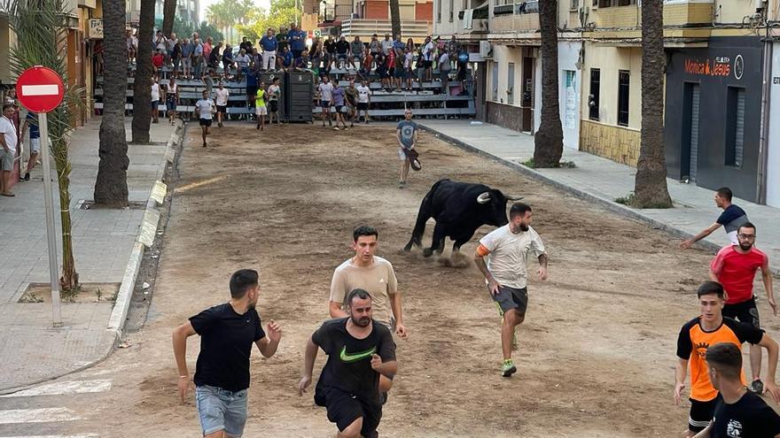 Bous al Carrer de Massamagrell, el pasado sábado