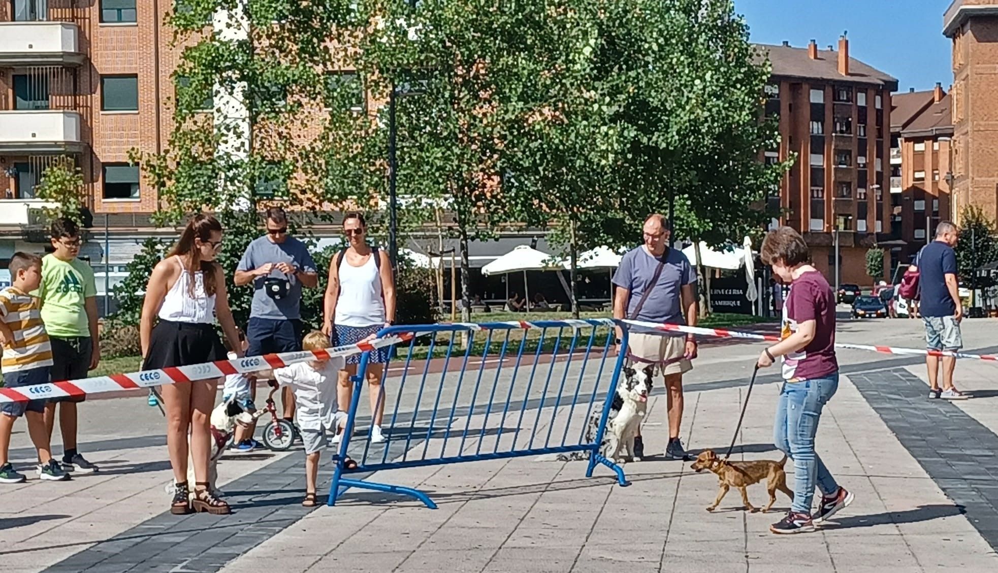 Desfile de perros en Llanera: así fue el concurso popular de canes