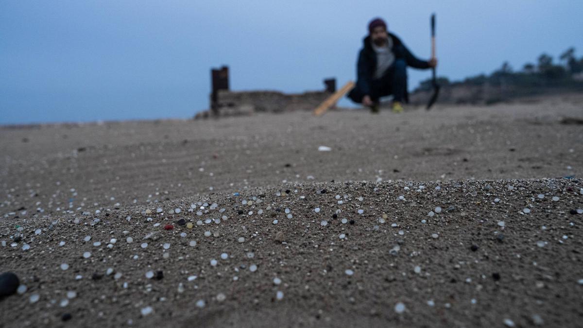 Pélets de plástico en la playa de la Pineda, en Vila-Seca