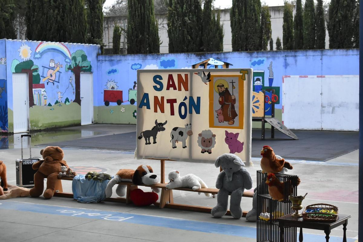 Fotogalería | Así ha sido la celebración de San Antón en el colegio San Antonio de Cáceres
