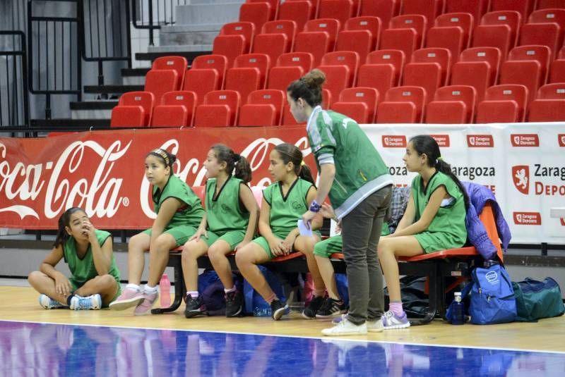 DÍA DEL MINIBASKET. Partidos de las 9:45 horas