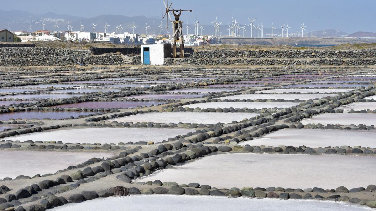 Salinas de Tenefé, en Pozo Izquierdo.