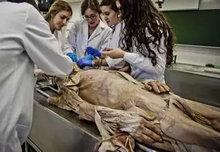 Prácticas con cadáveres «casi» vivos