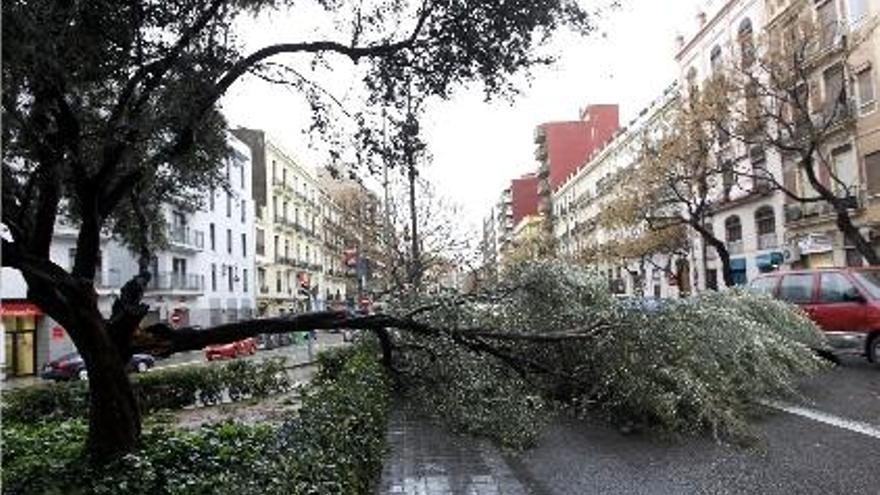 La lluvia corrige un invierno tan seco como el de la gran sequía del año 1994