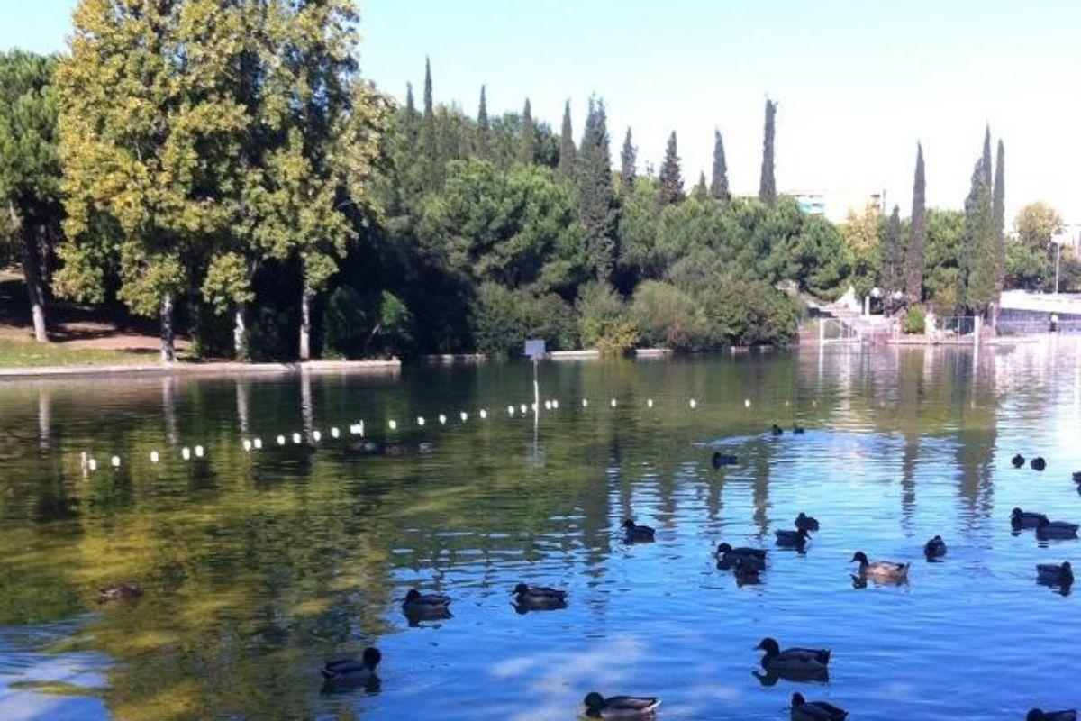 Parc de Catalunya