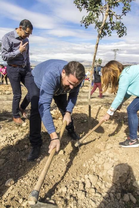 Proyecto para convertir la cantera de Cox en zona verde