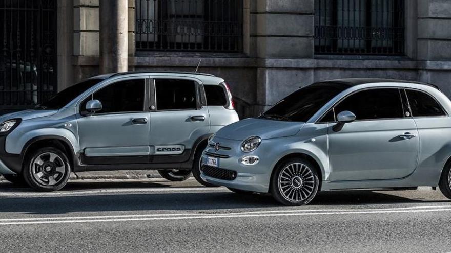 Fiat 500 y Panda