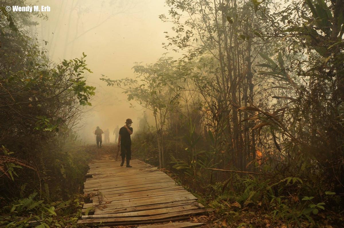 Bomberos y humo de turba en un bosque indonesio.