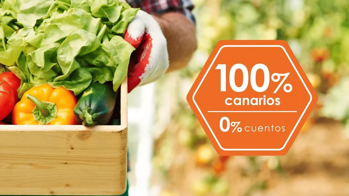 Alimentar el cambio desde el plato con Albi Canarias