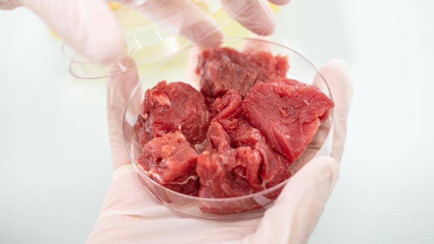 Aldelis se adentra en el futuro negocio de la carne de laboratorio