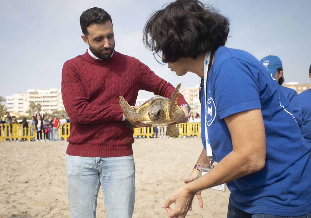 Suelta de tortugas en la playa del Port de Sagunt