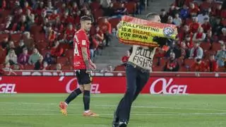 Un activista antitaurino interrumpe el Mallorca- Atlético de Madrid: "Es la vergüenza de España"